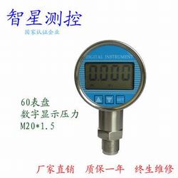 “武漢數(shù)顯氣壓力表“/