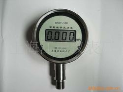 “黃石新疆標(biāo)準(zhǔn)數(shù)字壓力表“/