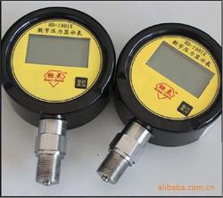 “東莞車載氣泵數(shù)字壓力表怎么看“/