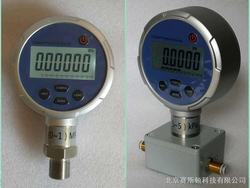 “昆明ntr數(shù)顯壓力表kp43p“/