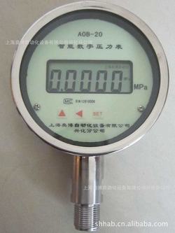 “青島壓力表sv顯示數(shù)字代表什么“/