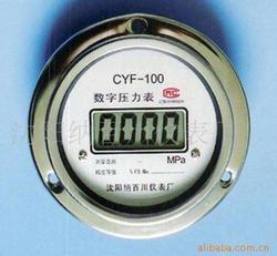 “武漢數(shù)顯壓力表的電氣符號“/